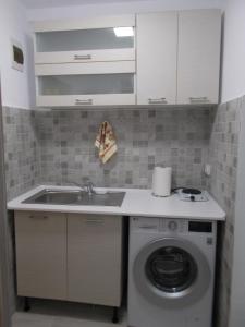 康斯坦察Peninsula-Cazino,Dalvi的厨房配有水槽和洗衣机