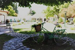 卢汉德库约Chenin Lodge的停放在岩石路径上的绿色自行车