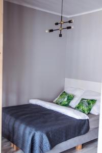 比得哥什Apartamenty Długa 6的一间卧室配有带绿色和白色枕头的床