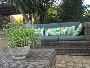 莫迪卡Oasi di Campagna的柳条沙发,带枕头和盆栽