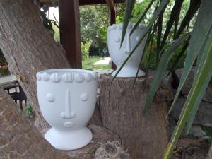 莫迪卡Oasi di Campagna的几只白花瓶坐在树上