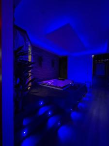 欧塞尔Spa privatif by XELA的蓝色的房间,配有床和植物