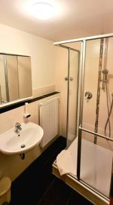 柯尼希斯布伦皇冠酒店的一间带水槽和淋浴的浴室