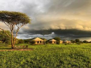 塞伦盖蒂国家公园Serengeti Sound of Silence的一片云天下田野上的一群小屋