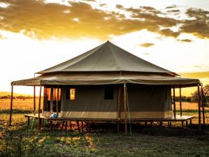 塞伦盖蒂国家公园Serengeti Sound of Silence的田野中间的大帐篷