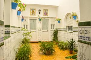 蓬塔翁布里亚Hostal Patio Andaluz的相册照片