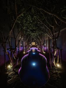 清迈NORN Nimman13 Boutique Hotel Chiang Mai的有一排树木在晚上点燃,紫色的灯光照亮