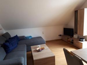 魏斯基兴Haus Rosi的客厅配有蓝色的沙发和电视