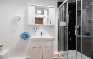 伦敦霍斯顿中央肖迪奇酒店的带淋浴和盥洗盆的白色浴室