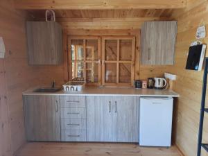 Ayios TheodhorosCyprus Glamping Park的小木屋内的厨房配有水槽和冰箱