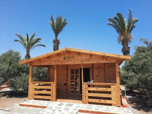 Ayios TheodhorosCyprus Glamping Park的一座棕榈树的木质建筑