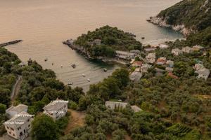 达默查理Olive House in Damouchari with a sea view - Delicious Houses的水中小岛的空中景观