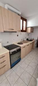 斯基罗斯岛Mini Traditional House的厨房配有木制橱柜和炉灶烤箱。