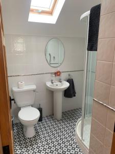 阿基尔Wild Atlantic Way House的一间带卫生间、水槽和镜子的浴室