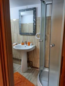 斯勒尼克Casa IRIS Slanic的浴室配有盥洗盆和带镜子的淋浴