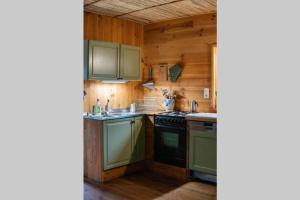 Chastre-Villeroux-BlanmontLe chalet des carrières的一间厨房,配有绿色电器和木墙
