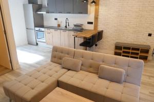 特伦普Rita, apartament ideal per a dos的带沙发的客厅和厨房