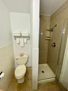 旧金山基尔大路汽车旅馆的一间带卫生间和淋浴的浴室