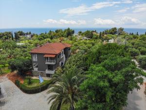 尼基季Villa Elli的棕榈树房屋的空中景致