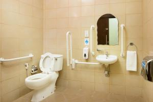 杜科姆杜科姆城市酒店 的一间带卫生间和水槽的浴室