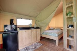 TENTE SAFARI Lodge FERME CARRIQUE平面图