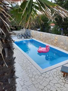 斯塔里格勒House Sidro, Stari Grad的水中粉红色的游泳池