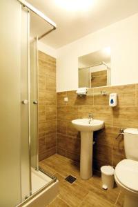 锡比乌CASA GRINDA的一间带水槽、卫生间和淋浴的浴室