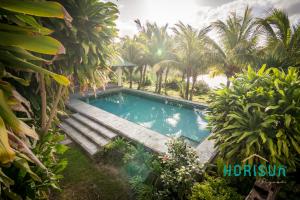 贝尔马尔霍力森民宿的棕榈树花园内的游泳池