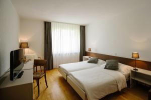 Madiswil巴雷兰德加斯特霍夫酒店的酒店客房设有两张床和电视。