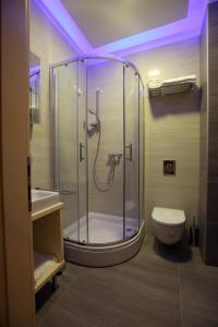 赛斯韦泰加勒斯酒店 的带淋浴、卫生间和盥洗盆的浴室