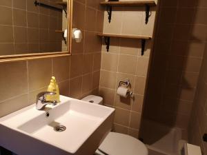 AblanqueLa Casa Blanca del Alto Tajo的一间带水槽、卫生间和镜子的浴室