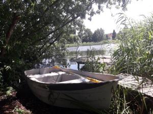 格但斯克新庄园Mała Baza Stobna 5的坐在树旁的草上的小船