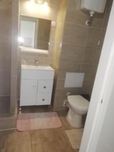 格德勒Dózsa Apartman的一间带卫生间、水槽和镜子的浴室