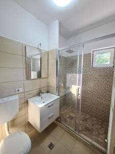 皮亚特拉-尼亚姆茨Pensiunea Lavanda, Piatra-Neamț的带淋浴、盥洗盆和卫生间的浴室