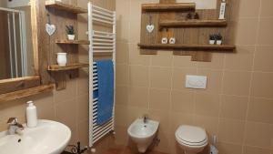 瓦尔迪索托Baita de Eliseo B&B的一间带卫生间和水槽的浴室