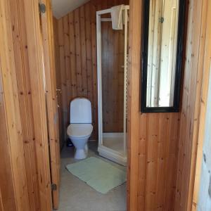 AðaldalurHagi 1 Guesthouse的一间带卫生间和步入式淋浴间的浴室