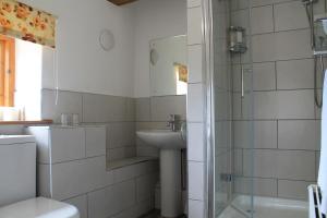 达文特里福斯丽格乐尼酒店的一间带水槽、卫生间和淋浴的浴室