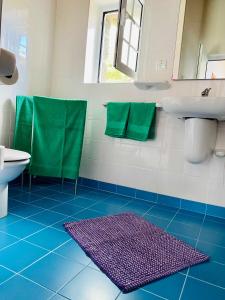 圣克鲁斯达格拉西奥萨Quinta Perpetua, Casa Flores的蓝色和白色的浴室设有水槽和卫生间