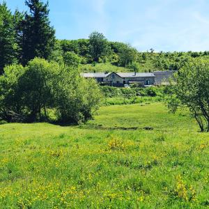 Ranch du Haut-Languedoc外面的花园