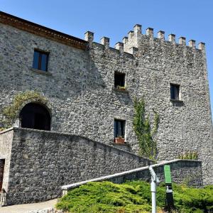 维贾内洛Il Castello dei Principi Sanseverino的一座大型石头建筑,设有窗户,常春藤