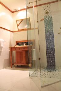 斯泰伦博斯埃弗格林旅馆的带淋浴的浴室和玻璃门
