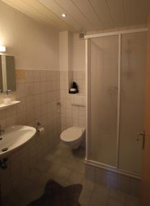 Mainhardt维斯佩斯图瓦尔德布里克酒店-旅馆的带淋浴、卫生间和盥洗盆的浴室