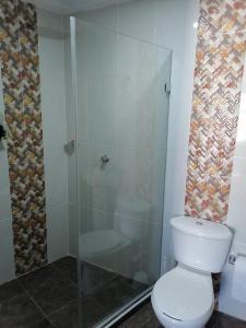 卡塔赫纳Ocean blue Ed Conquistador的一间带卫生间和玻璃淋浴间的浴室
