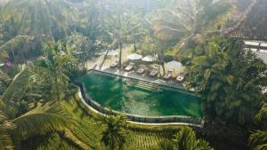 乌布Alaya Resort Ubud的享有度假村游泳池的顶部景致
