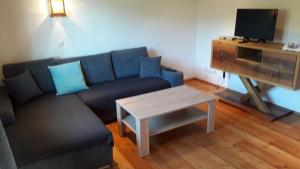 圣沃尔夫冈Ferienwohnung Appesbacher的客厅配有蓝色的沙发和桌子
