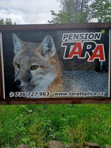 梅图耶河畔特普利采pension TARA的旁边有一个狼的标志