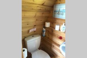 MuffRiver View Log Cabin Pod - 5 star Glamping Experience的一间带卫生间和水槽的浴室