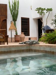 马拉喀什里亚德亚普住宿加早餐旅馆的植物庭院中的游泳池