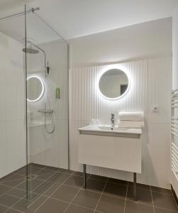 梅斯尼圣佩尔Hôtel Lac d'Orient的一间带水槽和淋浴的浴室