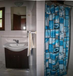 蓬他达维托亚Casas Tipicas Candelaria Tabua的一间带水槽和淋浴帘的浴室